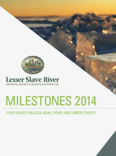Milestones Report to the Community 2014